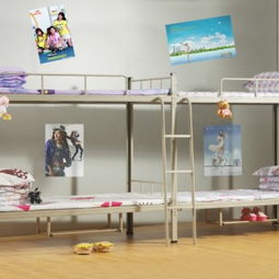 學(xué)校鐵床批發(fā)采購(gòu)指南 東莞連發(fā)辦公設(shè)備廠優(yōu)惠促銷全面解析